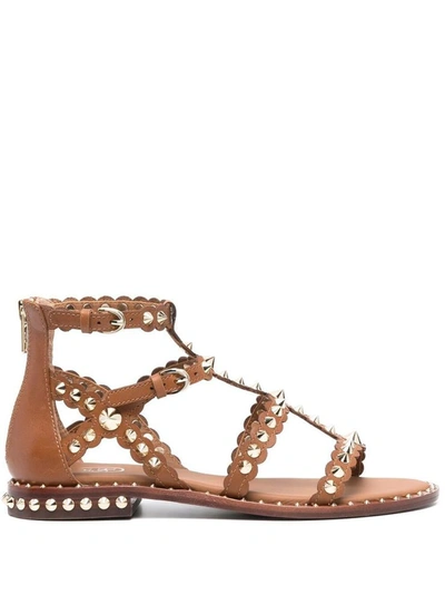 Shop Ash Sandals Beige