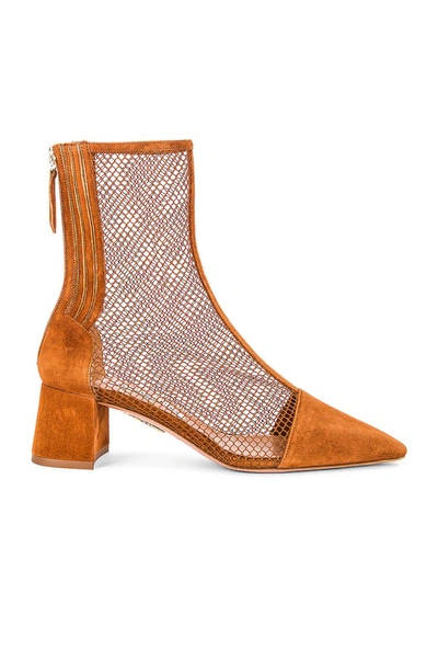 Shop Aquazzura Saint Honore' Mesh Bootie 50 In Tropical Sunset