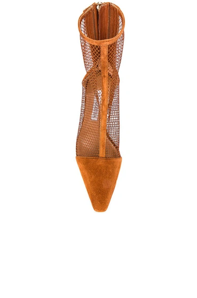 Shop Aquazzura Saint Honore' Mesh Bootie 50 In Tropical Sunset