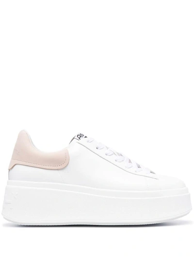 Shop Ash Sneakers White