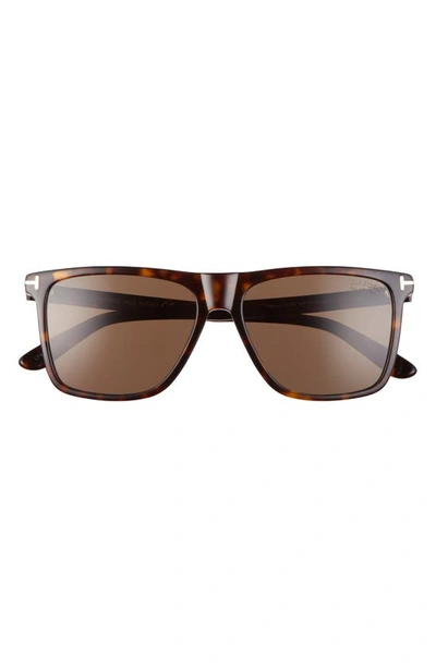 Shop Tom Ford 57mm Fletcher Square Sunglasses In Dark Havana/ Brown
