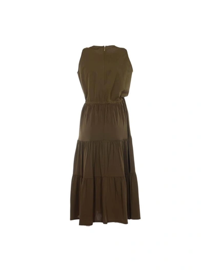 Shop Max Mara Dresses Green