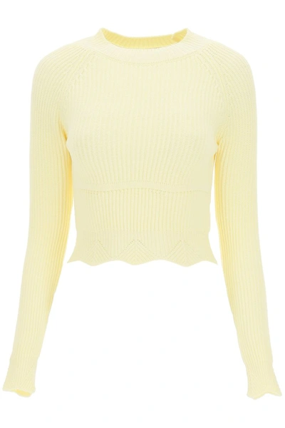 Shop Wandering Scalloped Sweater In Pale Yellow