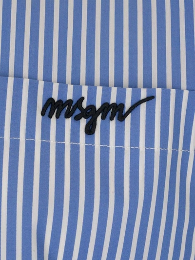 Shop Msgm Women's Blue Cotton Shirt