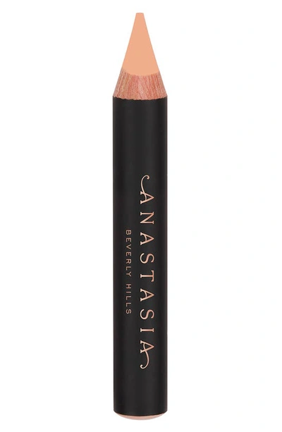 Shop Anastasia Beverly Hills Pro Pencil In Base 2