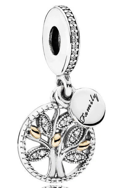 Shop Pandora Family Heritage Dangle Charm In Silver