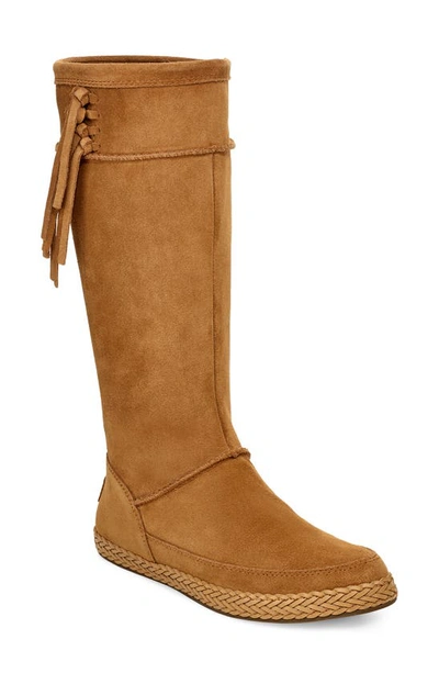 Shop Ugg Emerie Tall Boot In Chestnut Suede