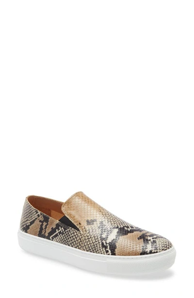 Shop Aquatalia Orilla Snakeskin Embossed Slip-on Sneaker In Natural Snake Print