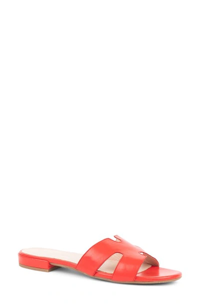 Shop Patricia Green Hallie Slide Sandal In Red Leather