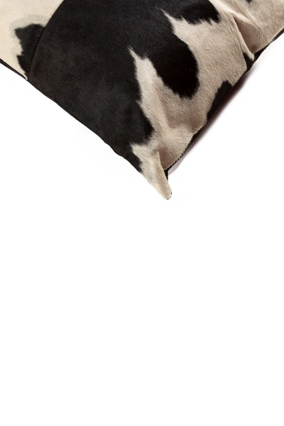 Shop Natural Torino Quattro Genuine Cowhide Pillow In Black/white