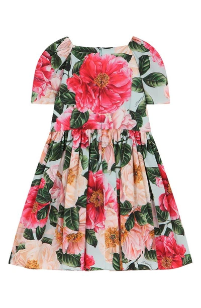Shop Dolce & Gabbana Kids' Camellia Print Cotton Poplin Dress In Camelie Rosa
