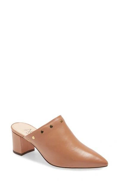 Shop Agl Attilio Giusti Leombruni Studded Mule In Cognac