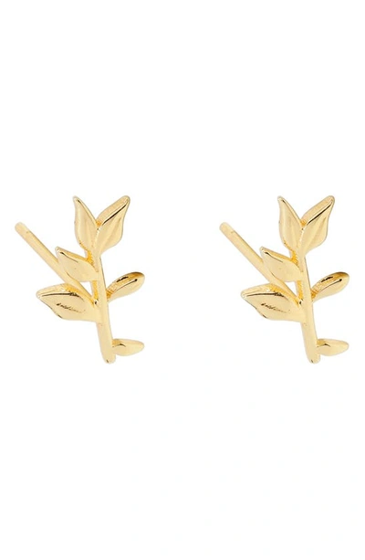 Shop Gorjana Autumn Stud Earrings In Gold