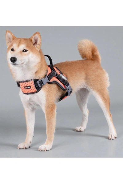 Shop Pet Life Dog Helios 'scorpion' Sporty High-performance Free-range Dog Harness In Orange