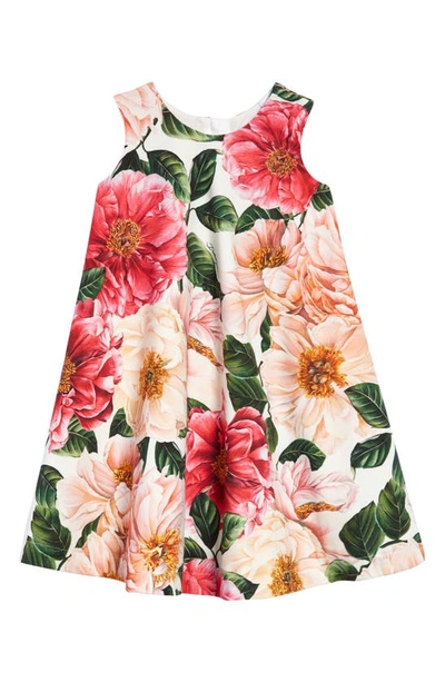 Shop Dolce & Gabbana Kids' Floral Print Sleeveless Dress In Camelie Rosa