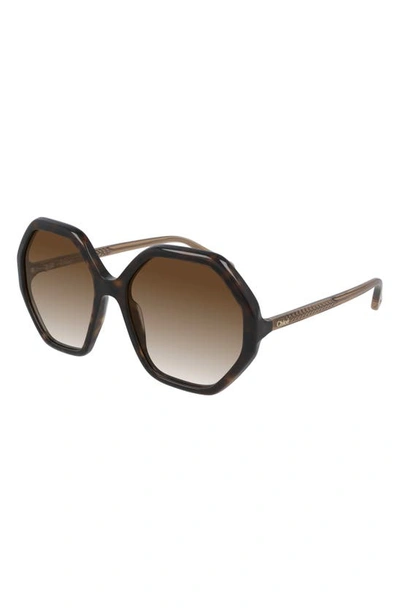 Shop Chloé 58mm Gradient Round Sunglasses In Havana/ Brown Gradient