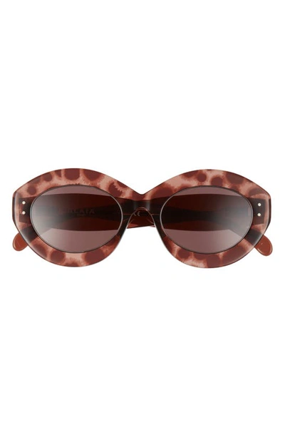 Shop Alaïa 52mm Round Sunglasses In Brown/ Brown