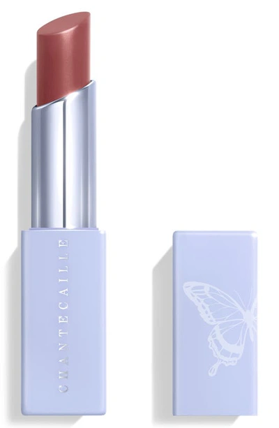 Shop Chantecaille Butterfly Collection Lip Chic Lip Color In Hyssop