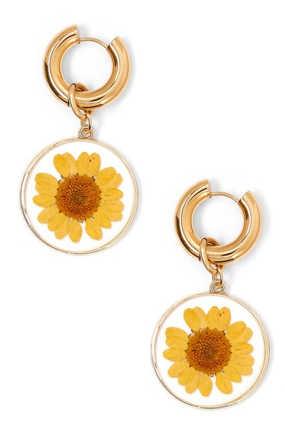 Shop Tess + Tricia Daisy Drop Huggie Hoop Earrings In Yellow/gold