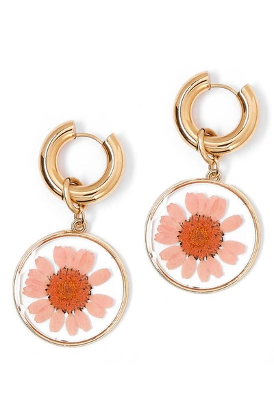 Shop Tess + Tricia Daisy Drop Huggie Hoop Earrings In Pink/gold