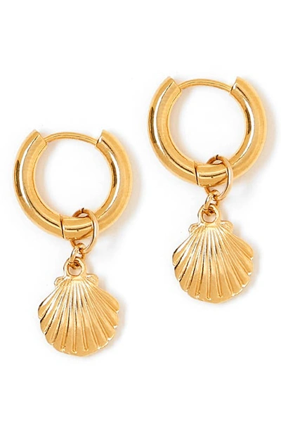 Shop Tess + Tricia Estelle Shell Drop Huggie Hoop Earrings In Gold