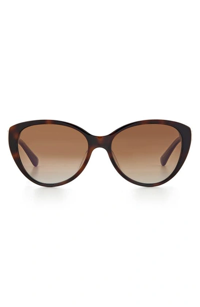 Shop Kate Spade Visalia 55mm Gradient Cat Eye Sunglasses In Dark Havana/ Brown Gradient