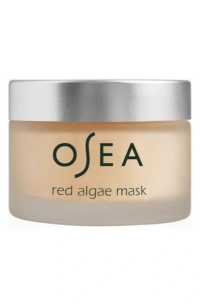 Shop Osea Red Algae Face Mask, 1.7 oz