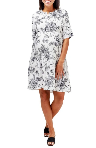 Shop Nom Maternity Valeria Maternity/nursing Dress In Flora