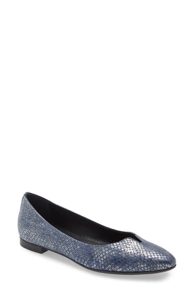 Shop Agl Attilio Giusti Leombruni Notch Ballet Flat In Harriet Navy