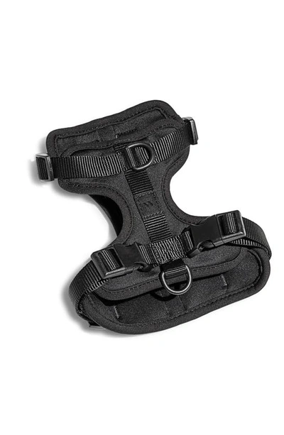 Shop Wild One Dog Harness In Black
