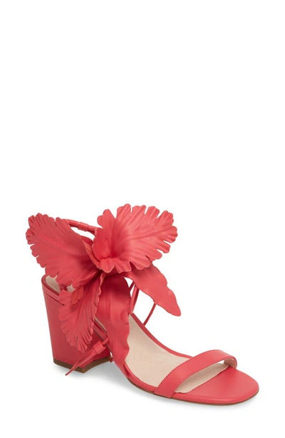 Shop Cecelia New York Hibiscus Sandal In Fuchsia Leather
