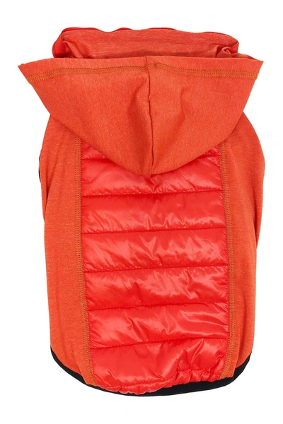 Shop Pet Life 'apex' Lightweight Hybrid 4-season Stretch & Quick-dry Dog Coat W/ Pop Out Hood In Red