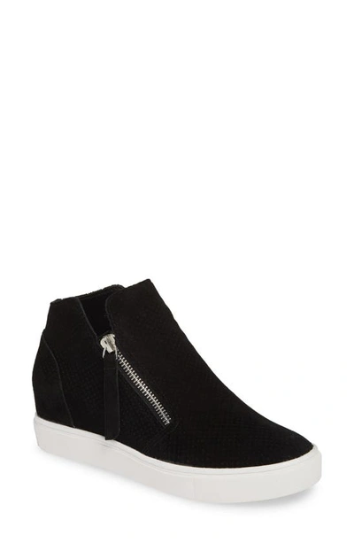 Shop Steve Madden Caliber High Top Sneaker In Black Suede