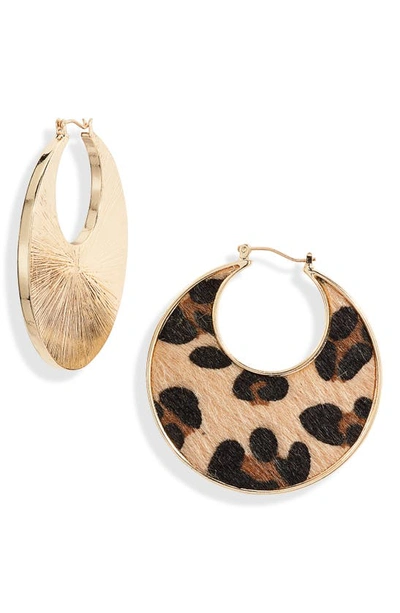 Shop Stella & Ruby Genuine Calf Hair Hoop Earrings In Gold/ Leopard