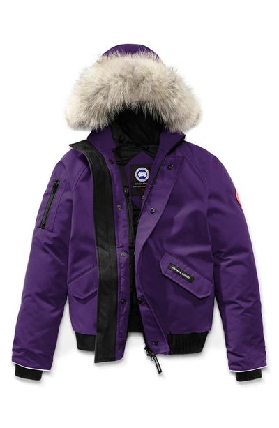 Shop Canada Goose 'rundle' Down Bomber Jacket With Genuine Coyote Fur Trim In Arctic Dusk