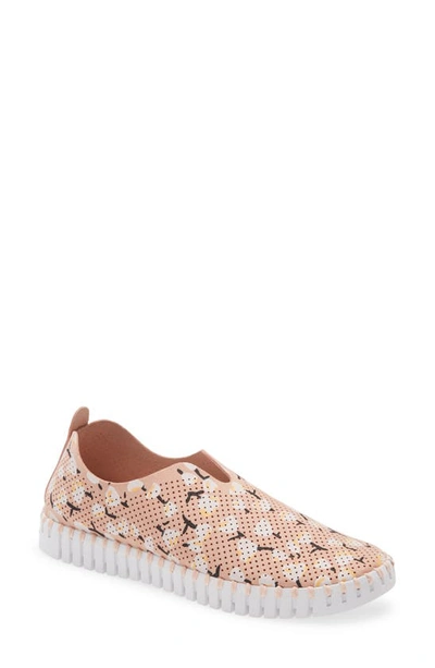 Shop Ilse Jacobsen Tulip 139 Perforated Slip-on Sneaker In Adobe Rose Fabric