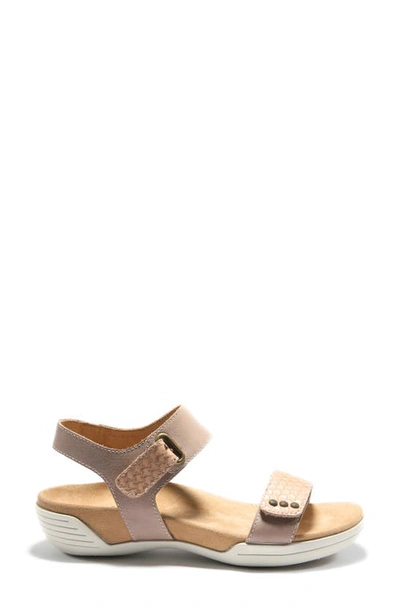 Shop Halsa Footwear Dominica Sandal In Taupe Leather