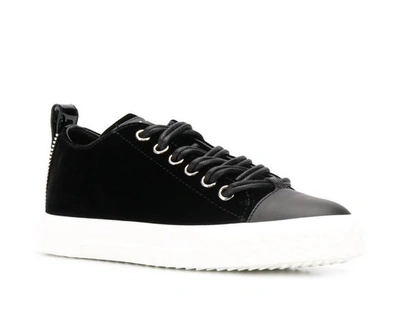 Shop Giuseppe Zanotti Blabber Velvet Sneakers In Black