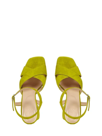 Shop Sergio Rossi Si Rossi Sandals Green