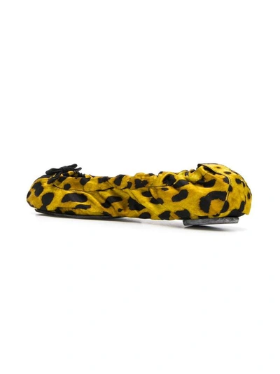 Shop Dolce & Gabbana Leopard Print Ballerinas Yellow In Giallo