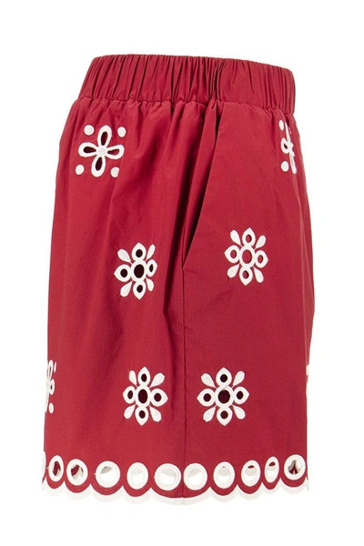 Shop Red Valentino Cotton Shorts With Sangallo Embroidery In Cherry