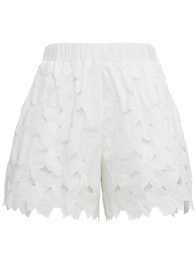 Shop Red Valentino Floral Cotton Poplin Shorts In White