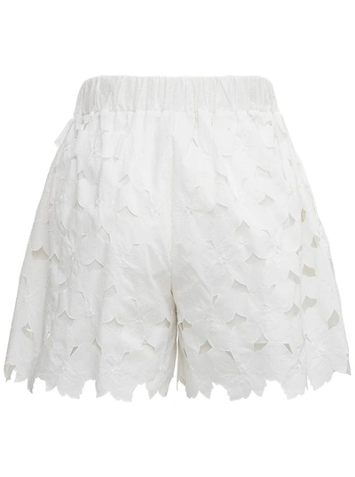 Shop Red Valentino Floral Cotton Poplin Shorts In White