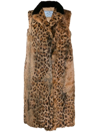 Shop Prada Gilet Leo In Fuoco