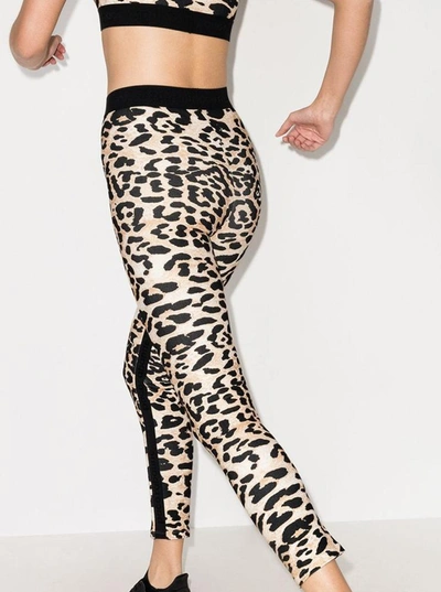 Shop Paco Rabanne Animalier Leggings In Viscose Blend In Brown