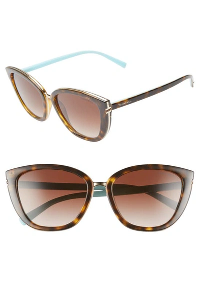 Shop Tiffany & Co Tiffany-t 55mm Sunglasses In Black/ Havana Gradient