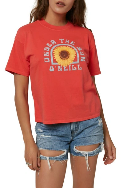 Shop O'neill Under The Sun Graphic Tee In Bittersweet