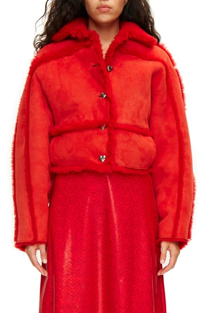 Shop Saks Potts Kahlo Genuine Shearling Crop Jacket In Red