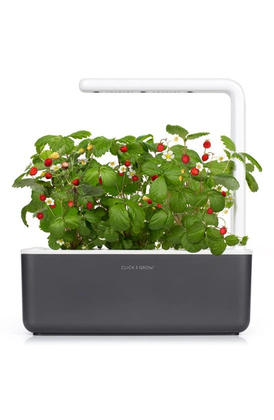 Shop Click & Grow Smart Garden 3 Self Watering Indoor Garden In Grey
