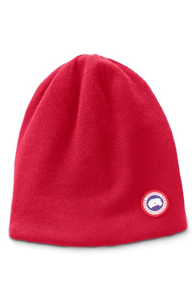 Shop Canada Goose Standard Wool Blend Beanie In Red